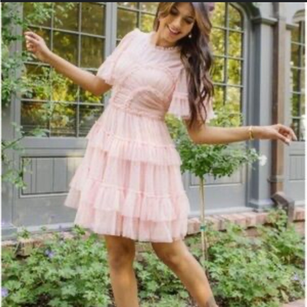 NWT Blush Whimsical IVY CITY Dress